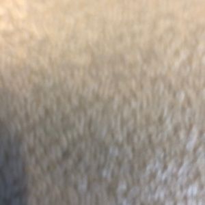 Meet your Posher, Janelle